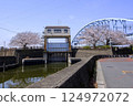Urayasu City: Cherry blossoms in full bloom at Sakaigawa Nishi Water Gate 124972072