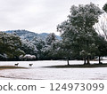 Snowy scenery of Nara Park Tobihino, deer and snow 124973099