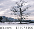 Snowy scenery of Nara Park, Tobihino, deer and trees 124973100