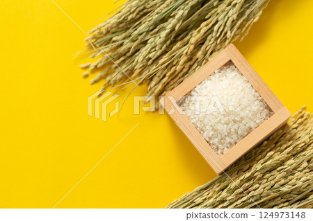 白米 白米 124973148