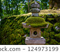 Moss lantern 124973199