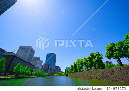 [Tokyo] Cityscape of the Marunouchi area in May 124973273