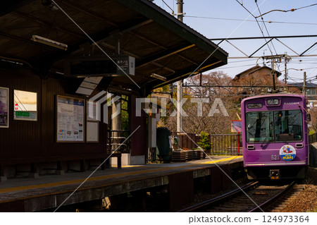 A train stops at a station with cherry blossoms in full bloom A train stops at a station with cherry blossoms in full bloom 124973364