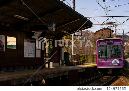 A train stops at a station with cherry blossoms in full bloom A train stops at a station with cherry blossoms in full bloom 124973365