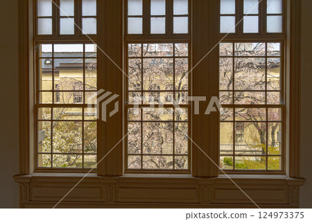 Cherry blossoms seen from the window 124973375