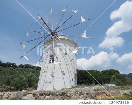 陽光明媚的夏日,近距離觀察希臘風車和橄欖樹林 陽光明媚的夏日,近距離觀察希臘風車和橄欖樹林 124973816