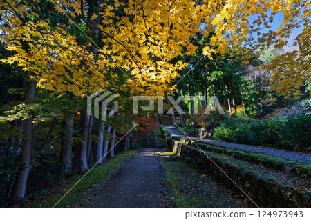 Photographing Myotsu-ji Temple in the height of autumn foliage in Wakasa Obama City, Fukui Prefecture Photographing Myotsu-ji Temple in the height of autumn foliage in Wakasa Obama City, Fukui Prefecture 124973943