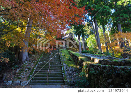 Photographing Myotsu-ji Temple in the height of autumn foliage in Wakasa Obama City, Fukui Prefecture Photographing Myotsu-ji Temple in the height of autumn foliage in Wakasa Obama City, Fukui Prefecture 124973944