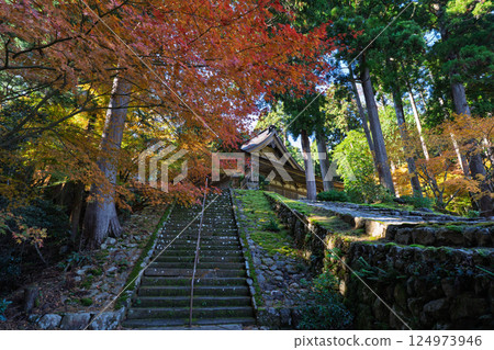 福井縣若狹小濱市的明通寺紅葉盛景拍攝 124973946