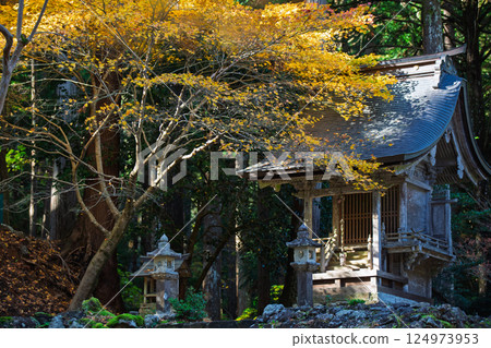 福井縣若狹小濱市的明通寺紅葉盛景拍攝 福井縣若狹小濱市的明通寺紅葉盛景拍攝 124973953