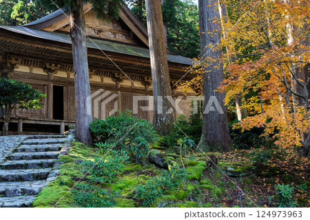 Photographing Myotsu-ji Temple in the height of autumn foliage in Wakasa Obama City, Fukui Prefecture Photographing Myotsu-ji Temple in the height of autumn foliage in Wakasa Obama City, Fukui Prefecture 124973963
