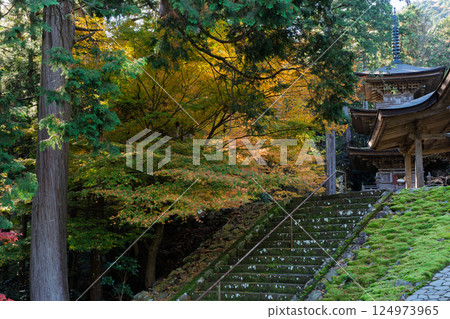 Photographing Myotsu-ji Temple in the height of autumn foliage in Wakasa Obama City, Fukui Prefecture 124973965