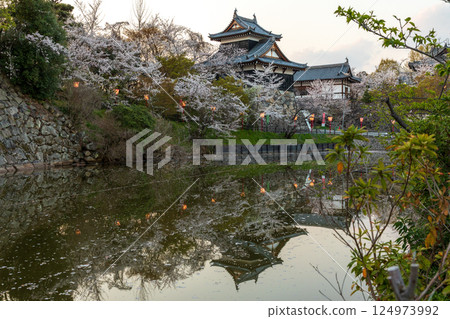 黃昏時分的郡山城遺址櫻花 124973992