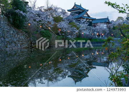 郡山城遺址的燈籠和櫻花 郡山城遺址的燈籠和櫻花 124973993