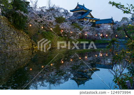 郡山城遺址櫻花燈飾 郡山城遺址櫻花燈飾 124973994