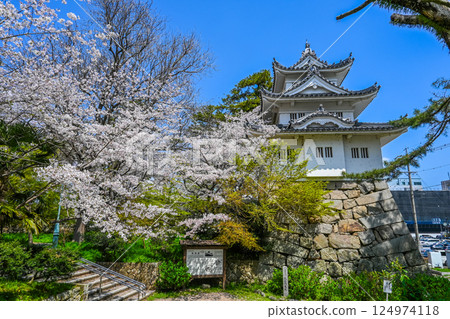 三重縣津市的櫻花和津城 124974118