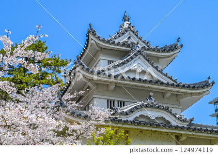三重縣津市的櫻花和津城 124974119