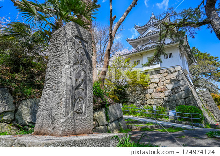 三重縣津市的櫻花和津城 124974124