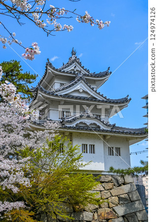 三重縣津市的櫻花和津城 124974126