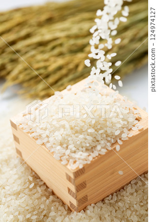 White rice White rice 124974127