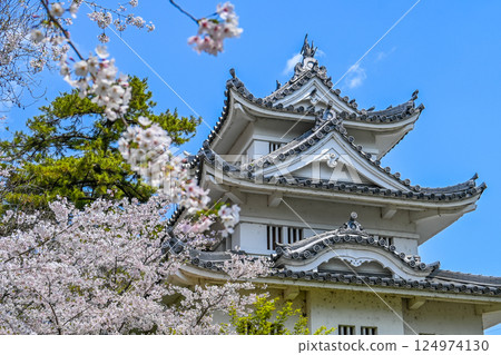 Cherry blossoms and Tsu Castle, Tsu City, Mie Prefecture 124974130
