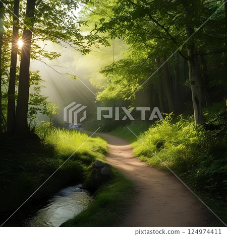 早晨的陽光 124974411