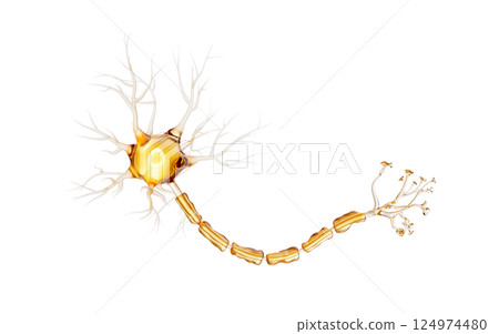 Transparent golden biology nerve cell, 3d 124974480