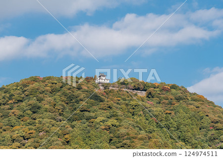 [岩國城] 124974511