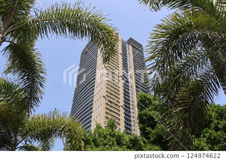A cityscape of Shenzhen with palm trees, blue skies and skyscraper apartment buildings A cityscape of Shenzhen with palm trees, blue skies and skyscraper apartment buildings 124974622