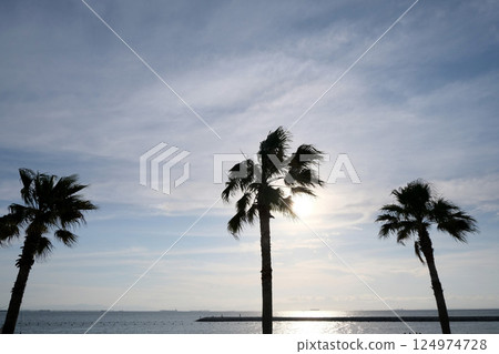 Tokoname City, Aichi Prefecture_Rinku Beach 1_June 2024 Tokoname City, Aichi Prefecture_Rinku Beach 1_June 2024 124974728