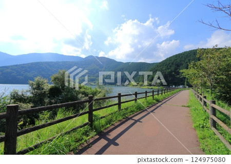 Lake Tanuki, Fujinomiya City, Shizuoka Prefecture 124975080