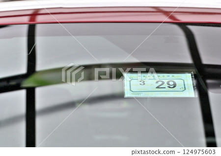 安全標準符合標誌 臨時車輛檢查標籤 124975603