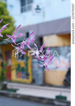 沖繩縣那霸市的城市景觀 沖繩縣那霸市的城市景觀 124976097