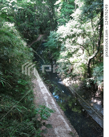 Todoroki Valley in Setagaya Ward (Yasawa River and promenade seen from Golf Bridge) Todoroki Valley in Setagaya Ward (Yasawa River and promenade seen from Golf Bridge) 124976249