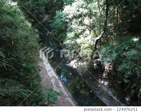 世田谷區的等等力溪谷（從高爾夫橋眺望的八澤川及散步道） 124976251