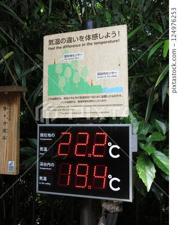 世田谷區等等力溪谷（高爾夫橋東端）的溫度計 124976253