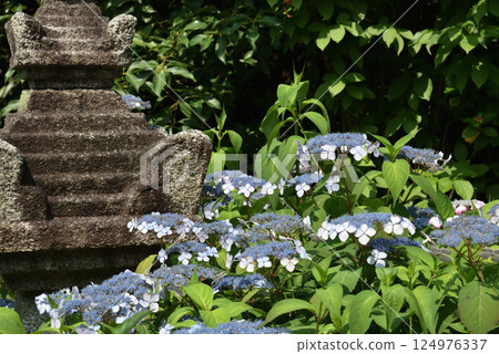 建仁寺副殿、靈泉院庭園、鶴名空港、甜茶、石塔 124976337
