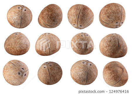 coconuts Isolated on a white background coconuts Isolated on a white background 124976416