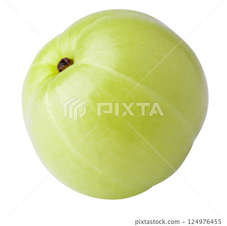 Emblic or Indian gooseberry leaves isolated on a white background Emblic or Indian gooseberry leaves isolated on a white background 124976455