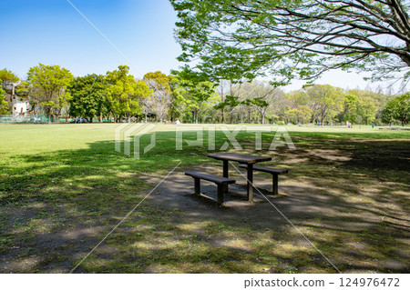 公園在一個晴天 公園在一個晴天 124976472