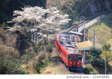 一輛紅色列車（JR九州KIHA 200系列）停靠在櫻花盛開的杉川內站。 124976690