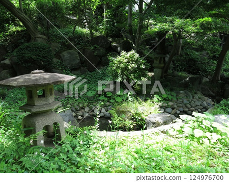 Japanese garden at Todoroki Valley Park in Setagaya Ward 124976700