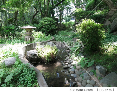 Japanese garden at Todoroki Valley Park in Setagaya Ward 124976701
