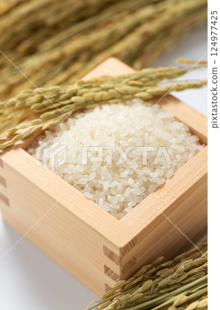 白米 124977425