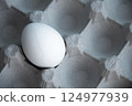 Slightly Cracked White Egg rests in Gray Cardboard Carton Tray, Fragility and Freshness in culinary arts. ideal for foodrelated designs, kitchen decor, and educational materials focusing on egg 124977939