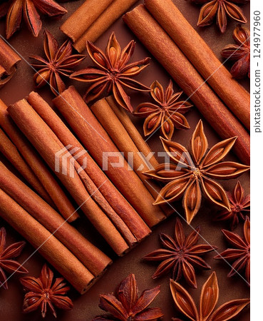 肉桂棒和八角 124977960