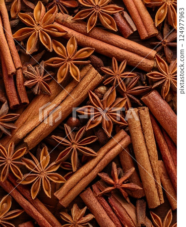 肉桂棒和八角 124977963