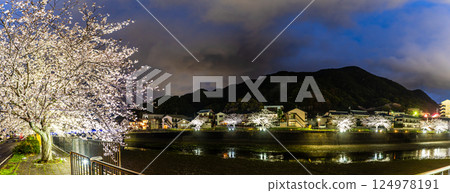 八郎川沿岸的櫻花樹燈光全景[長崎市] 124978191