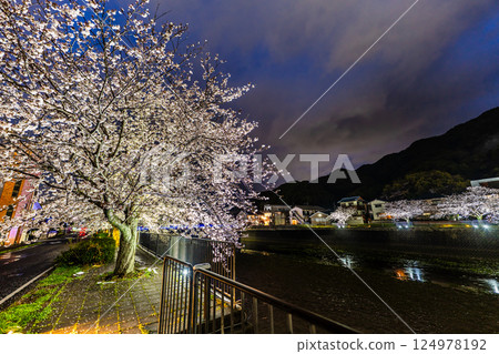 八郎川櫻花樹亮燈儀式 [長崎市] 124978192