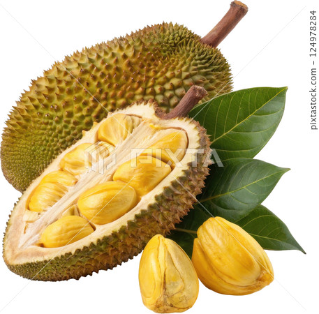 Tropical Golden yellow jackfruit with leaves 124978284